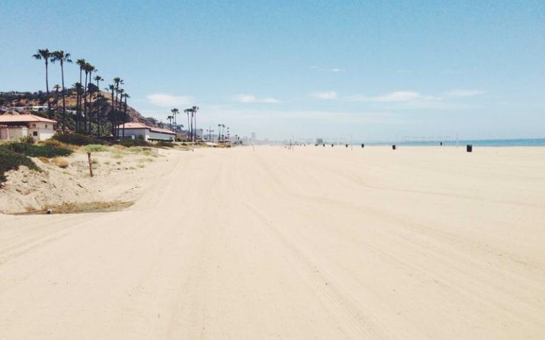 Filipinos Shine in NPB Spring Training