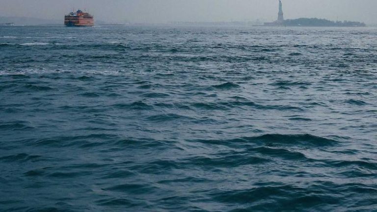 PFL Season Opens with Surprise Results