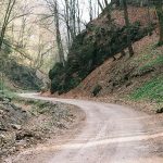 Marcial Dominates in WBC Title Eliminator