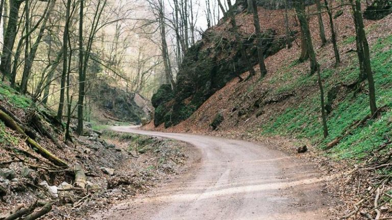 Marcial Dominates in WBC Title Eliminator