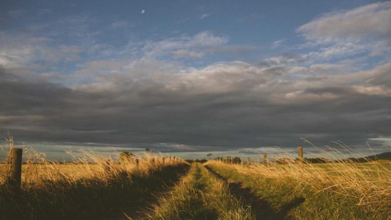 Joshua Pacio Defends Strawweight Belt