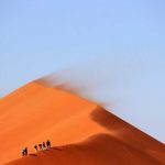 PVL Imports Announced for Reinforced Conference