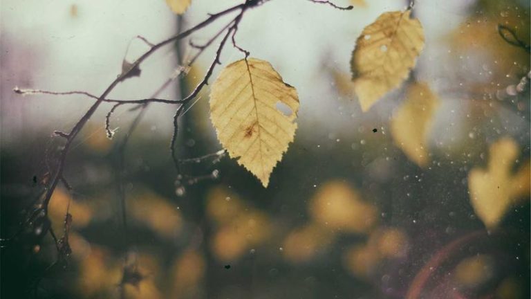 Obiena Eyes Diamond League Title in Final Stretch