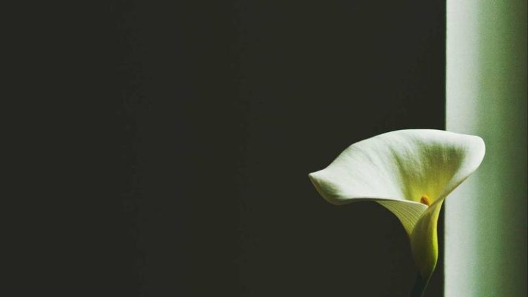 Blacklist International Win M6 World Championship